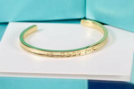 Picture of Tiffany Bracelet _SKUTiffanybracelet06cly8515272